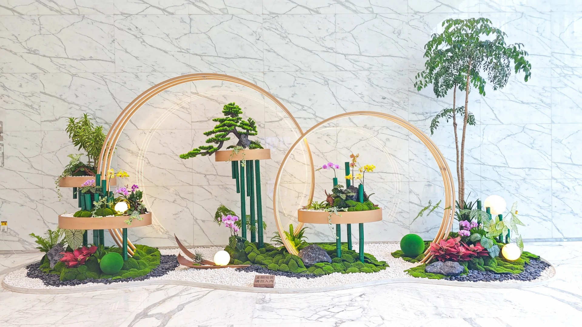 专业宁波植物租摆,为您营造别样清新环境